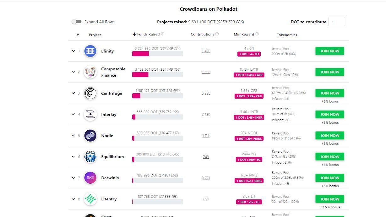 crowdloans on Polkadot