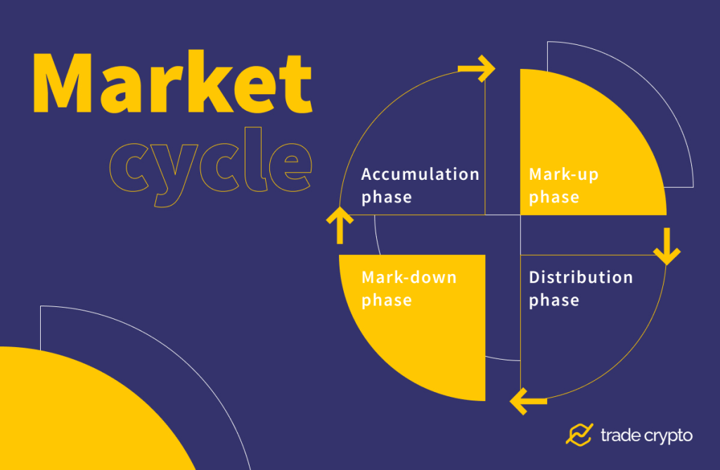 Market cycle