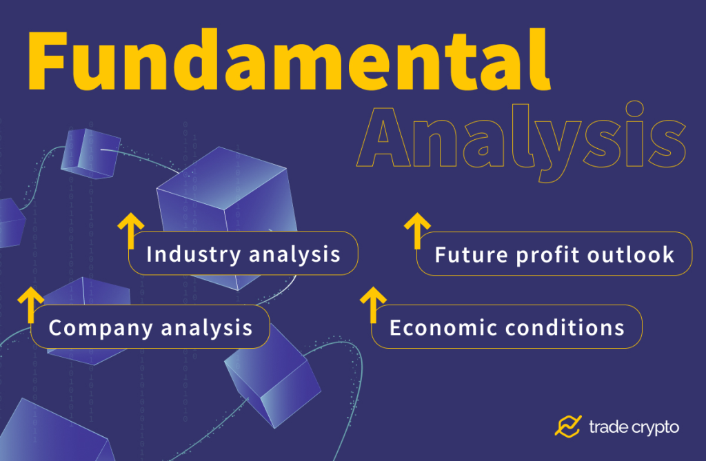 Fundamental analysis of the crypto market