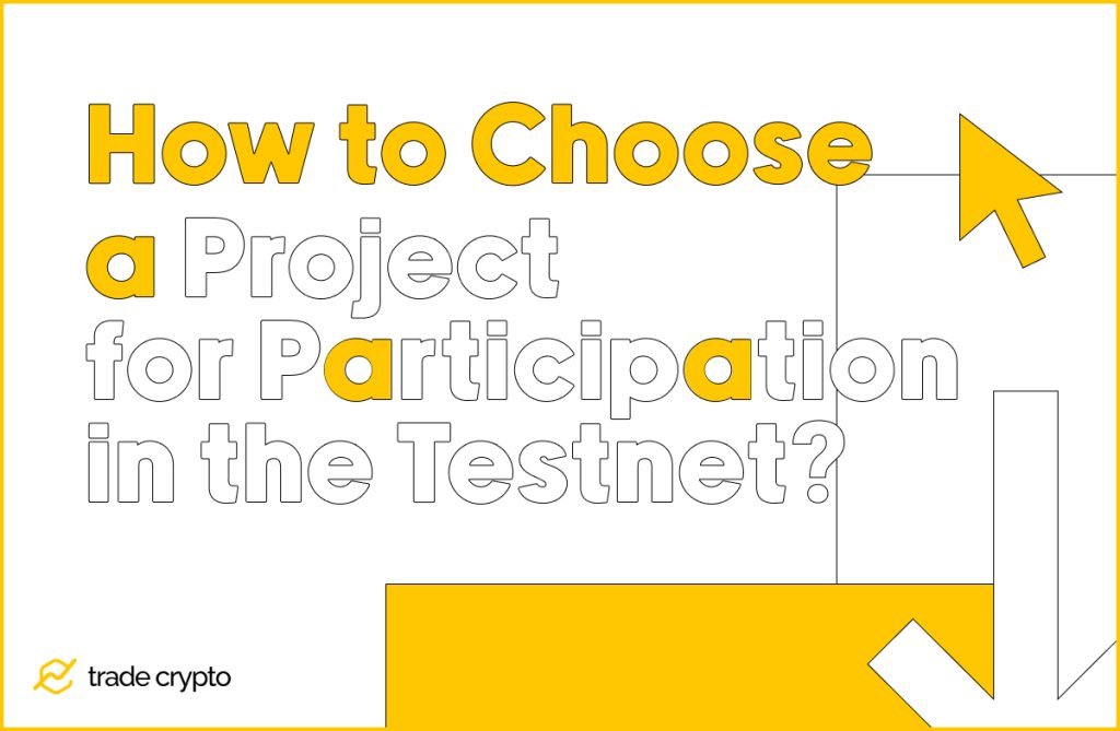 How to Choose a Project for Participation in the Testnet