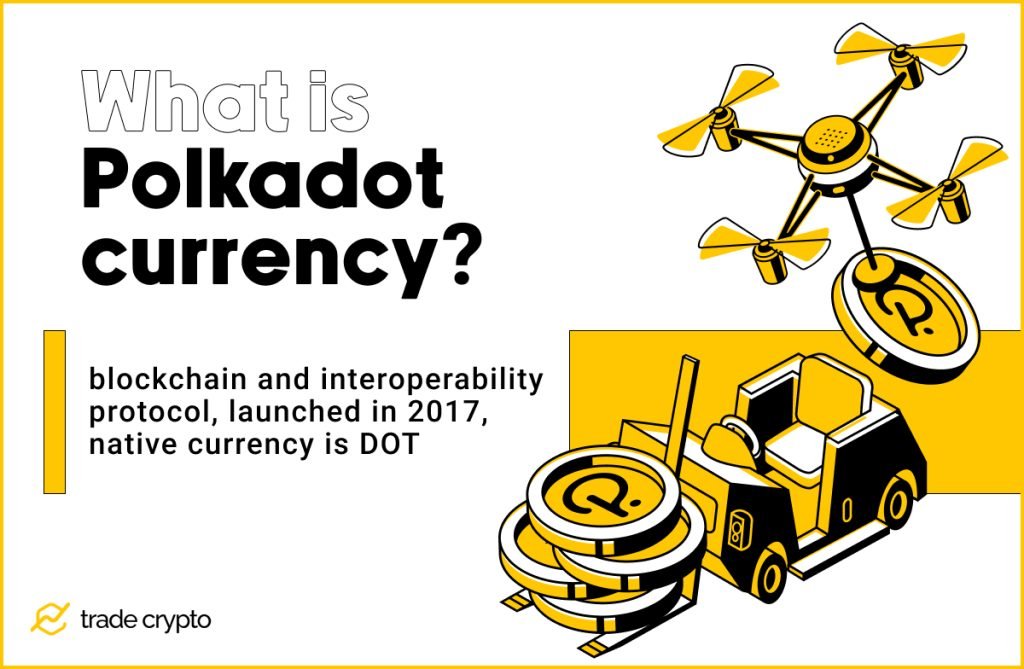 What is Polkadot currency