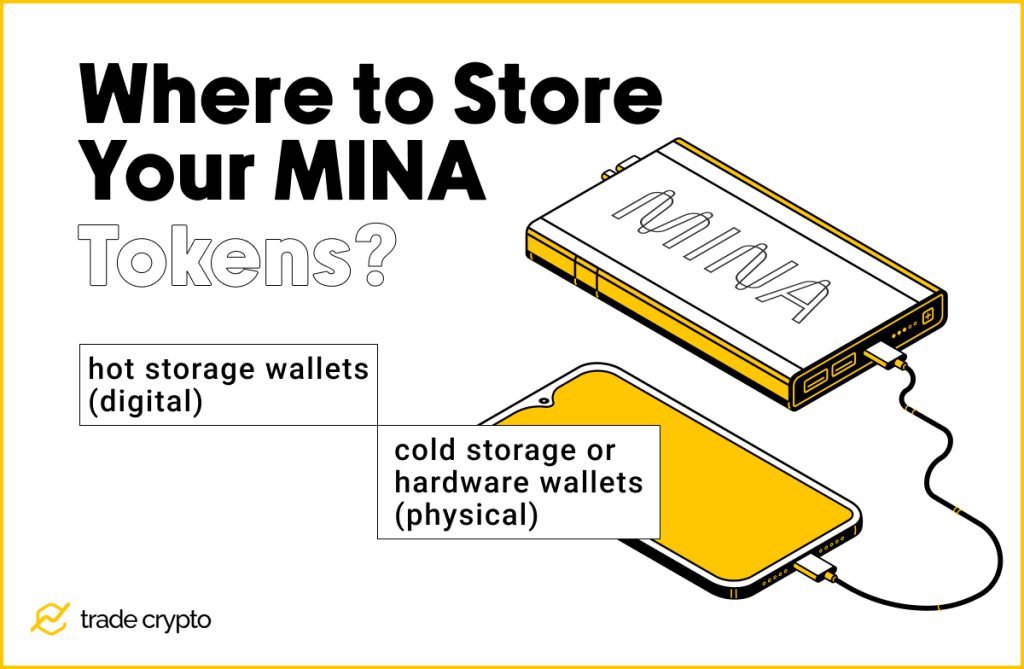 Where to Store MINA Tokens