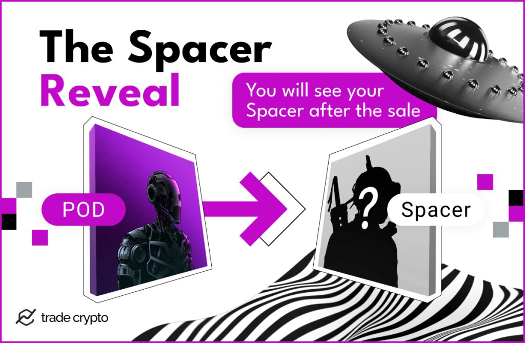 The Spacer Reveal